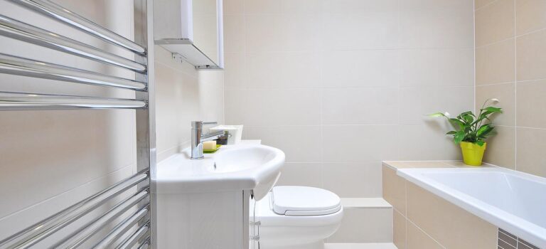 Design radiatoren voor de badkamer zijn altijd een goed idee Design radiatoren voor de badkamer zijn altijd een goed idee